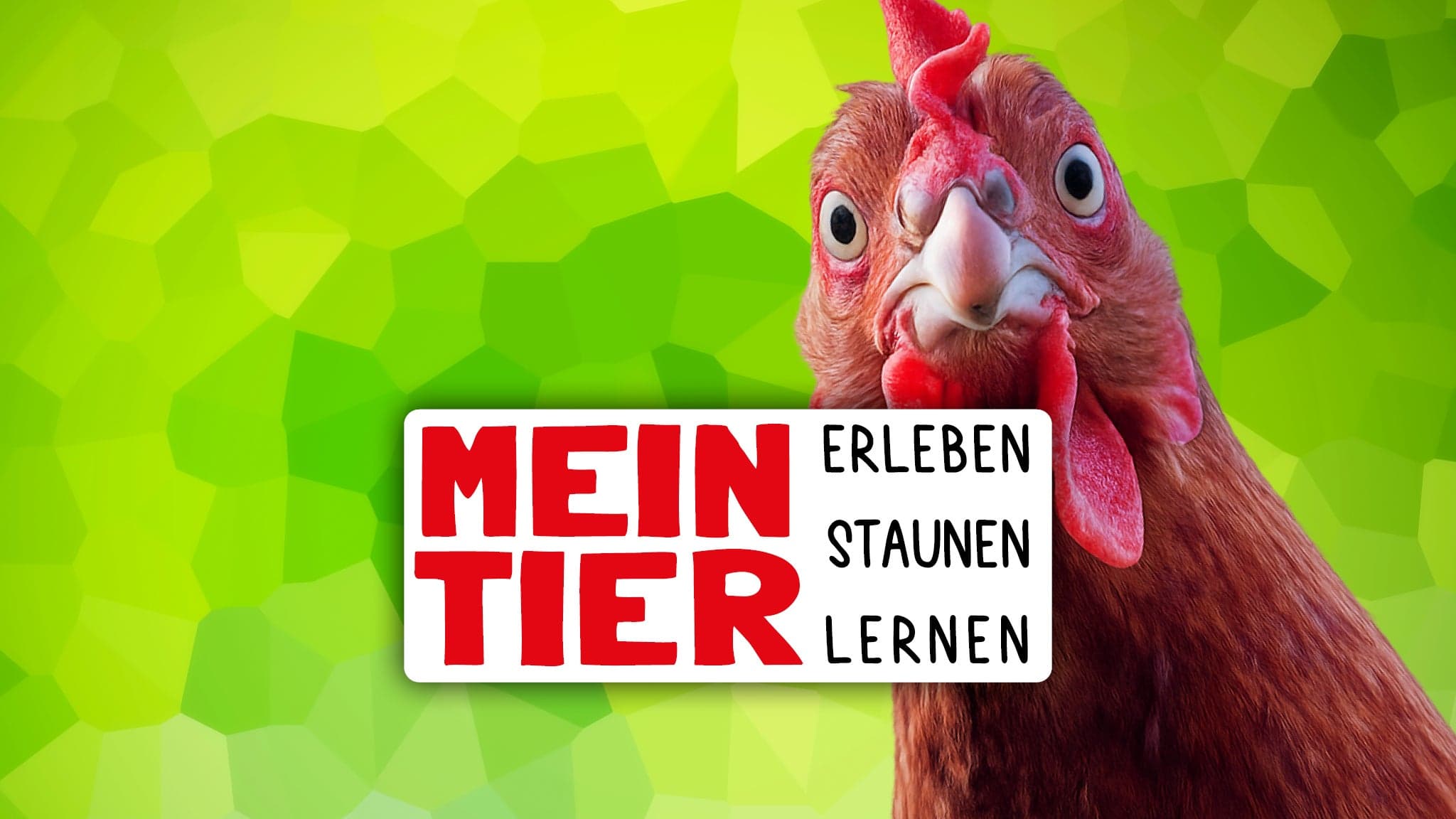 Mein Tier 2026 07. & 08. November 2026