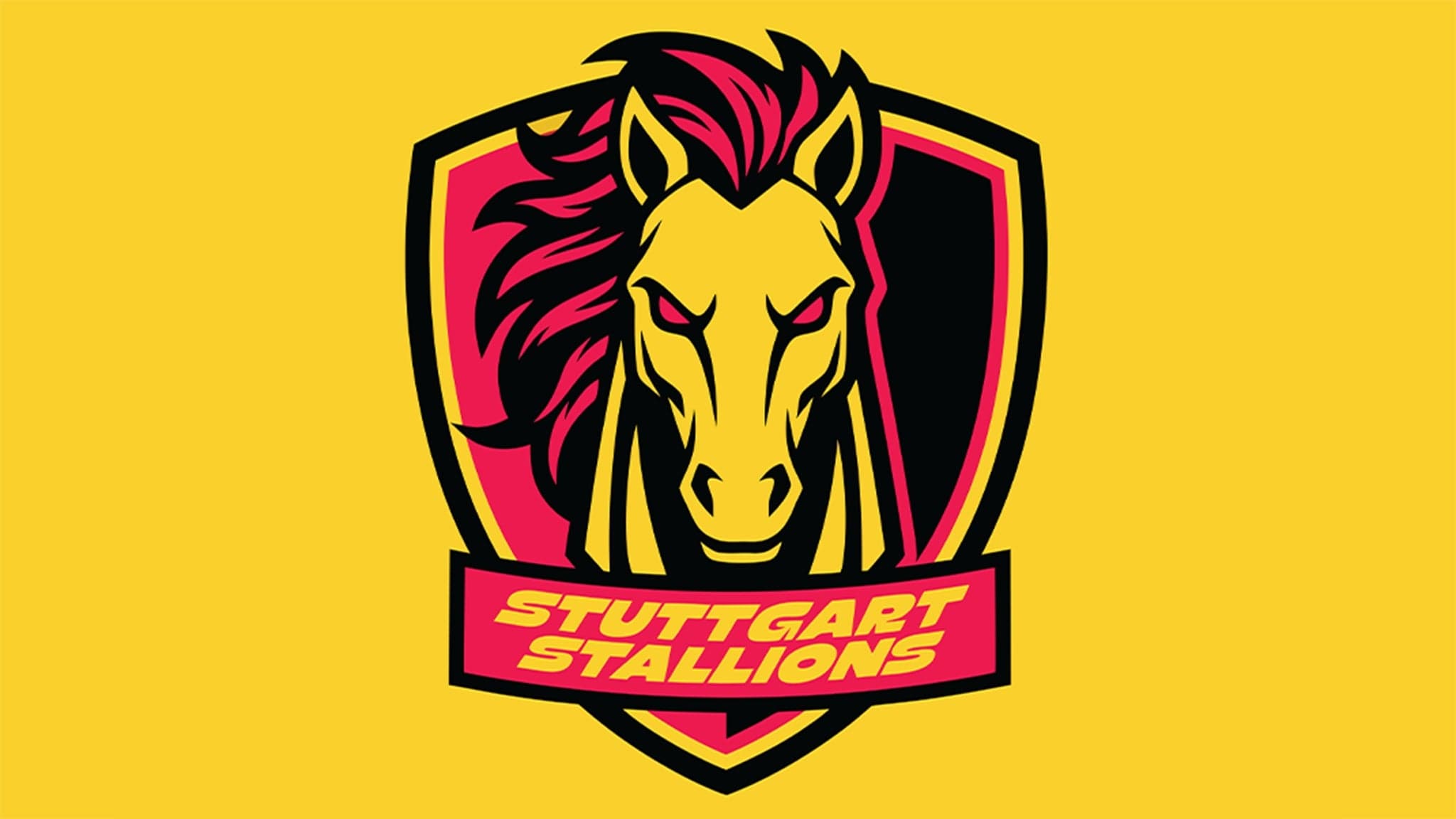 IAL Football - Stuttgart Stallions vs. Zürich Ibexx